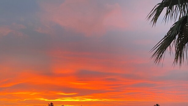 En swimmingpool med liggestole og parasoller, omgivet af bygninger og palmer, i solnedgang.