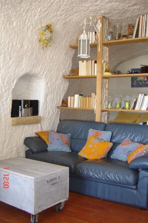 Smart TV, DVD player, books, music library