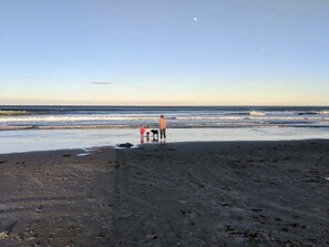 Beach nearby, sun-loungers, beach towels - Walk 2 Beach/peaceful/quiet Surfhouse Retreat (Rye)