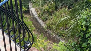 Una escalera con barandilla de metal, rodeada de follaje y un muro de piedra.