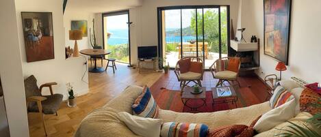 TV, fireplace, books