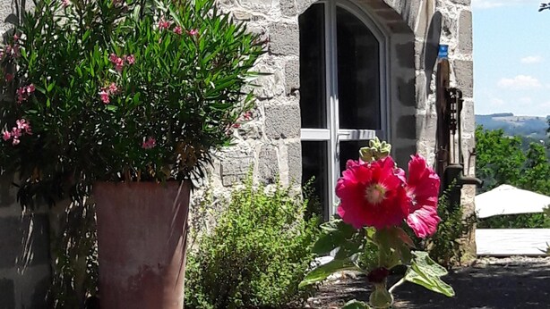 Een stenen gebouw met een grote potplant en een opvallend bloem in de voorgrond.