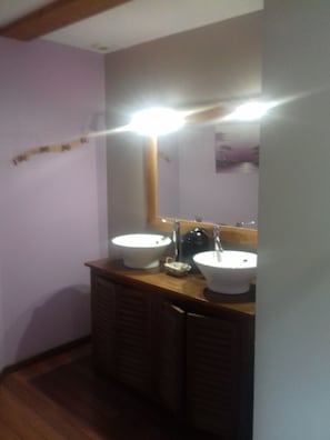 Ducha, secador de pelo, toallas y papel higiénico