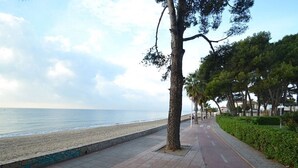 Un chemin pavé longe une plage, avec un arbre et une rangée de bâtiments en arrière-plan.