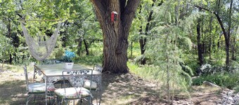  Full Remodel! Sparkling Clean! Patio & Grill!!!