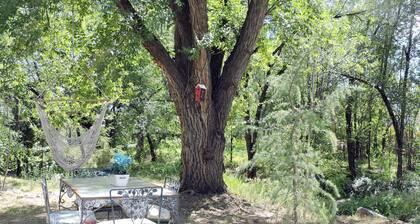 Full Remodel! Sparkling Clean! Patio & Grill!!!