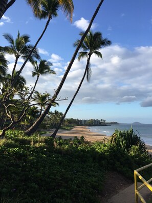 Beach nearby, sun-loungers, beach towels