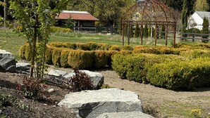 A garden with a gazebo, neatly trimmed hedges, and a rustic building in the background. - Country escape next to town for a quaint cottage getaway & majestic Rainer view (Yelm)