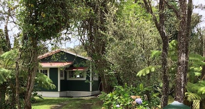 Charming Historic Sugar Era Family Home Close to Volcanoes National Park!