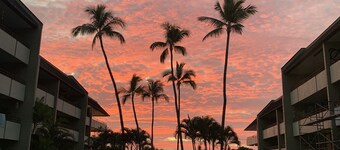 White Sands Beach Condo # 322 - Beste pris - 2 soverom / bad - Nær stranden!