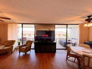 Smart TV, DVD player, books