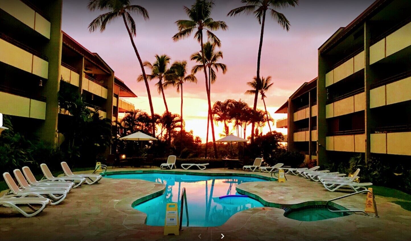 A pool area with lounge chairs, palm trees, and buildings in the background.