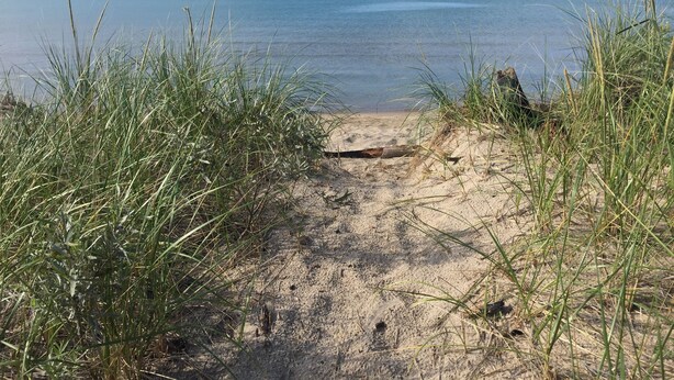 Un sentier de sable qui longe la plage et mène à la mer, bordé d’herbes hautes.