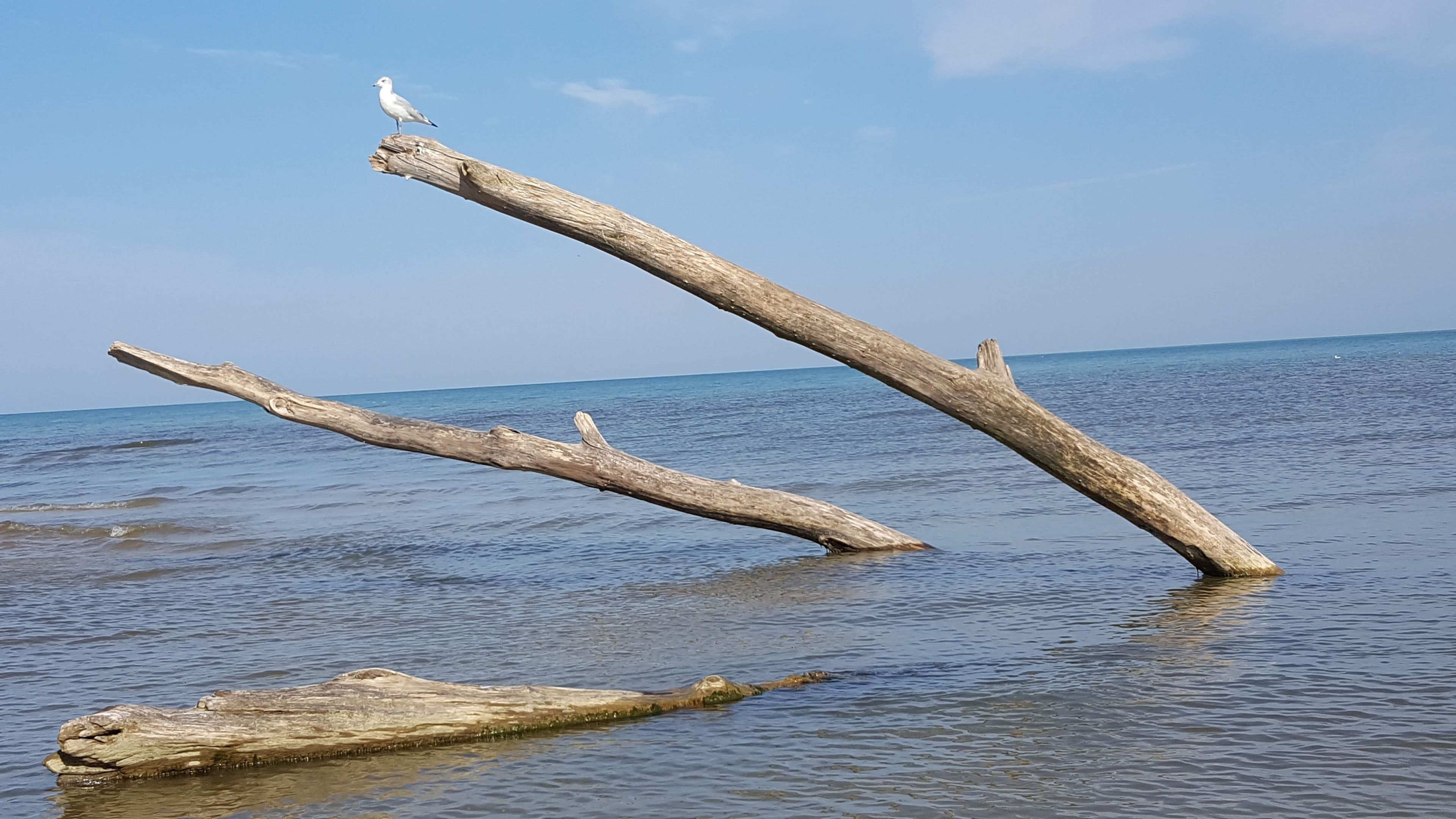 在附近的私人海滩、沙滩毛巾
