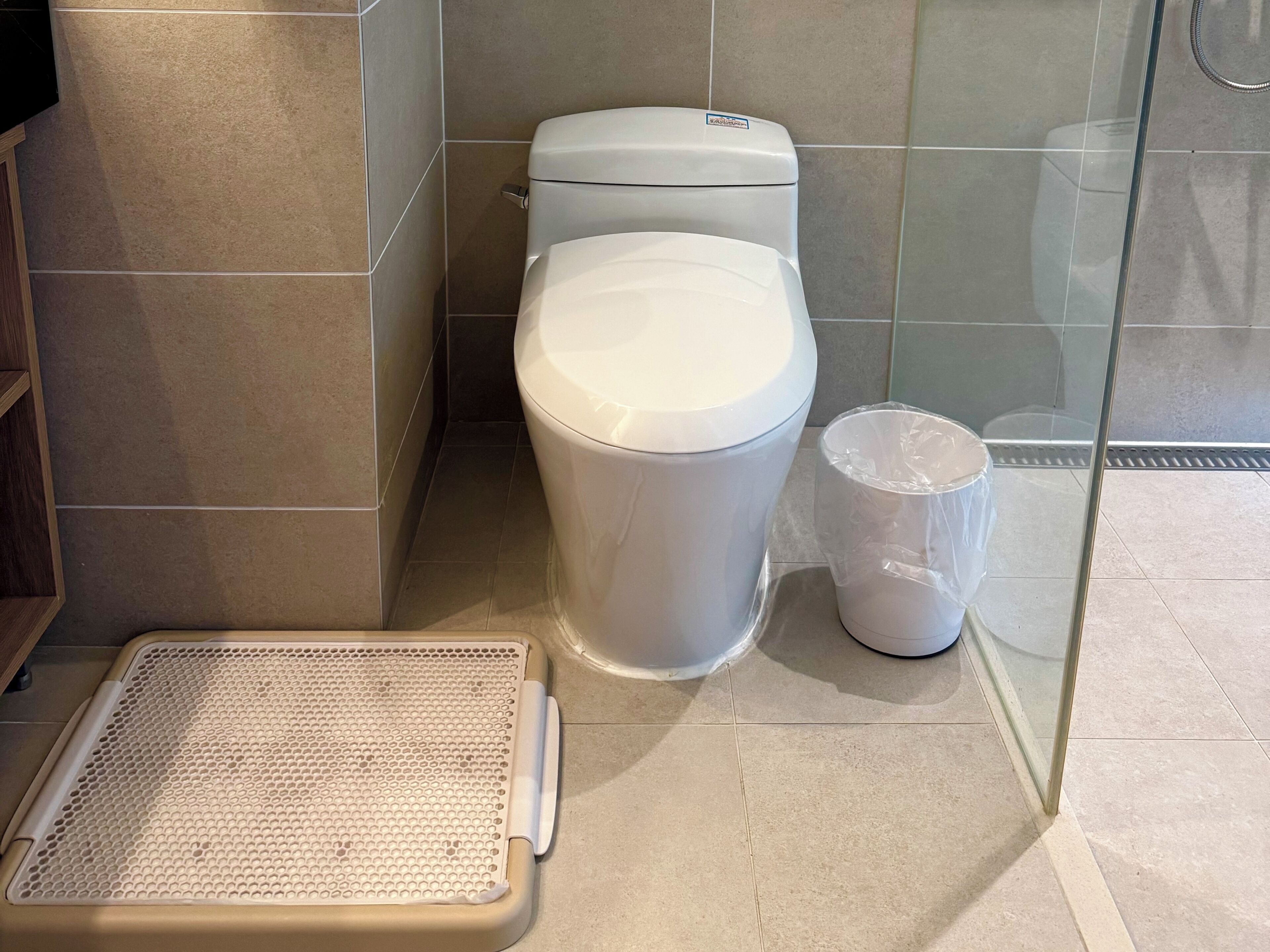 A bathroom with a toilet, a bidet, and a shower area.