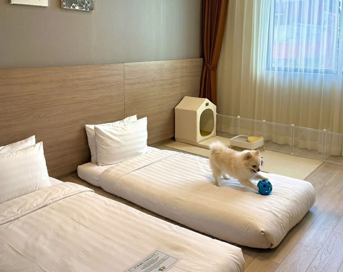 Traditional Room (Ondol) | Soundproofing, free WiFi, bed sheets, wheelchair access