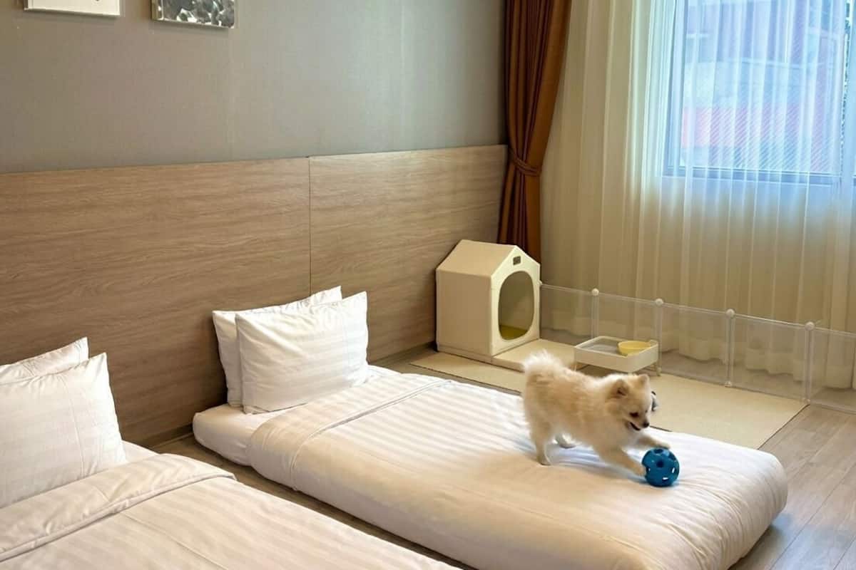 Una habitación de hotel con una cama, una cama para mascotas y una ventana con cortinas.