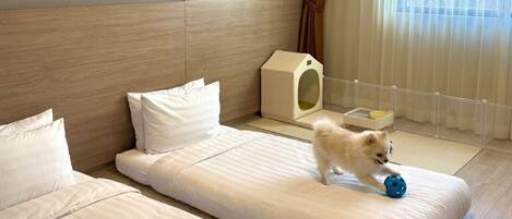 Une chambre d’hôtel avec un lit, un panier pour animaux de compagnie et une fenêtre avec des rideaux.