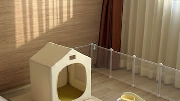 A pet-friendly room with a pet bed, feeding bowls, and a window with curtains.