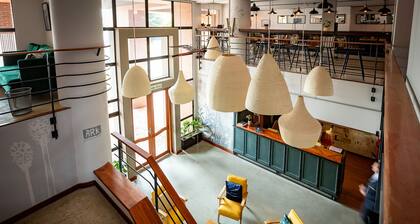 Selina Chapinero Bogotá