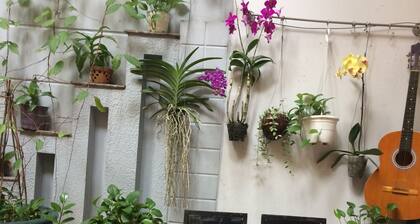 Drop By Saigon Hostel