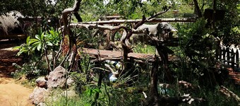 Elephant Trail Guesthouse and Backpackers