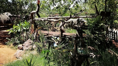 Elephant Trail Guesthouse and Backpackers
