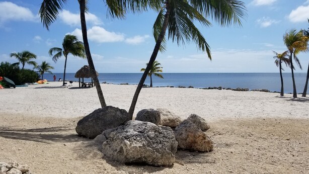 A sandy beach with palm trees and a clear blue sky. - SPECTACULAR OCEANFRONT VIEWS , FREE WIFI, HD SMART TV'S, SUMMER SPECIAL RATES (Tavernier)