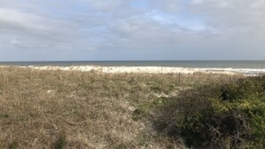 A beach with dunes and sparse vegetation.