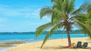Uma praia com uma palmeira, uma rede e três cadeiras de praia.