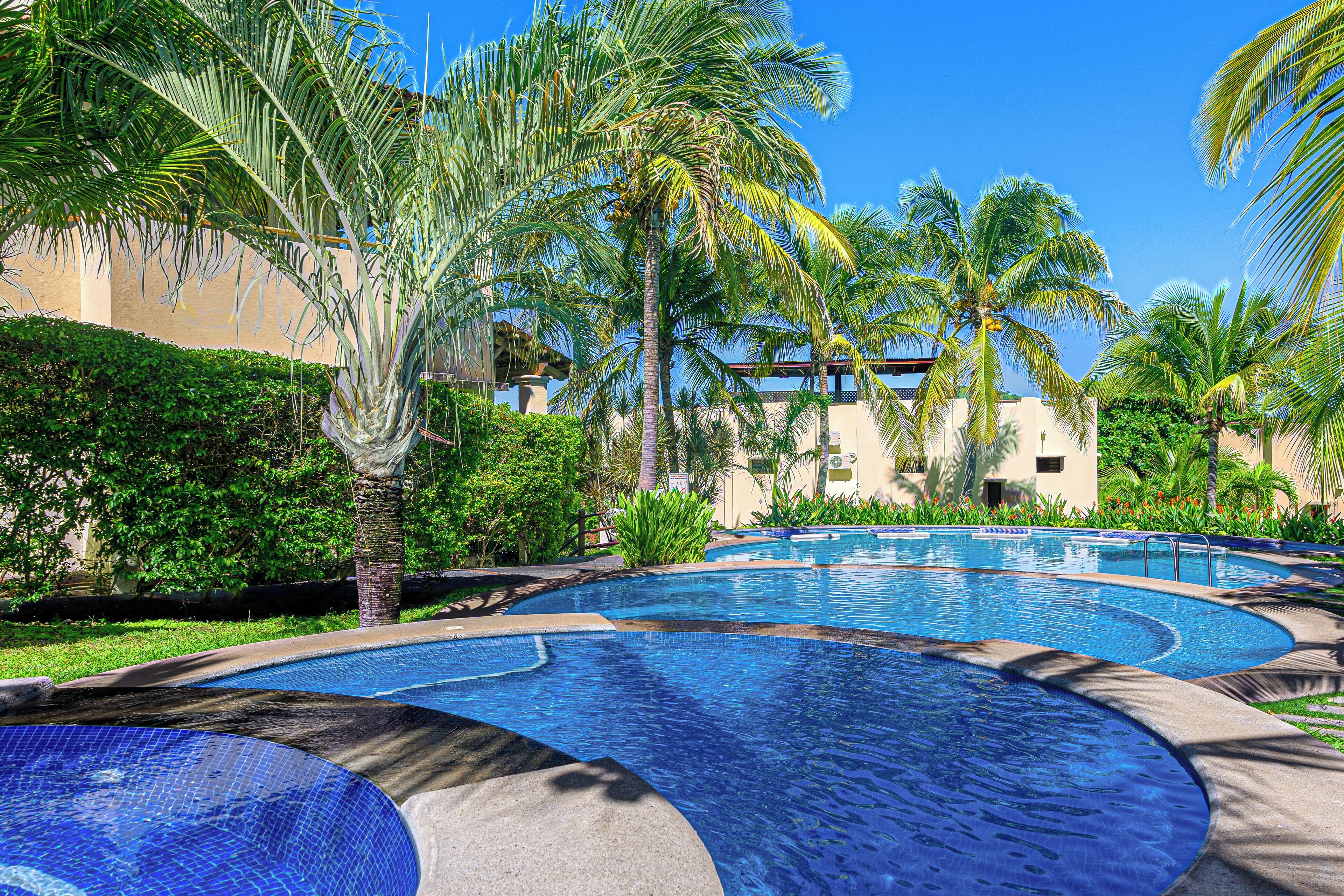 A swimming pool with a curved design, surrounded by palm trees and greenery.