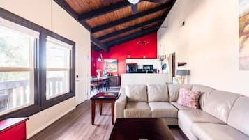 Smart TV, fireplace, Netflix, books