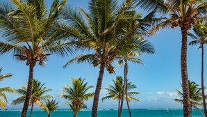 Ein Strand mit Palmen und dem Meer.