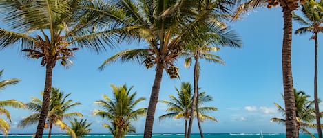 在海滩