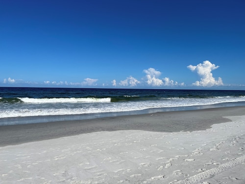 Sea Oats Studio - centre-ville et à quelques pas de la plage!