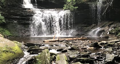Cabin in the Woods - Near Ricketts Glen - With Many Modern Amenities