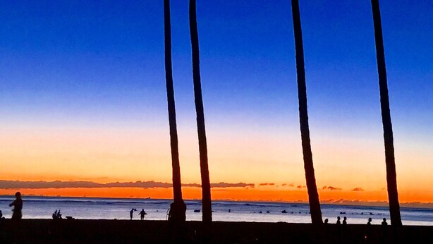 A beach scene with palm trees silhouetted against a sunset sky. - Waikiki Grand Across from Waikiki Beach & Zoo in the heart of Waikiki! (Honolulu)