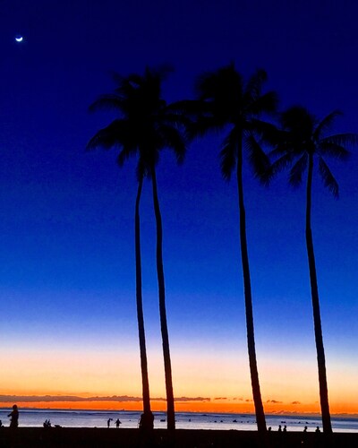 Waikiki Grand Across Waikikin rannalta ja eläintarhasta Waikikin sydämessä!