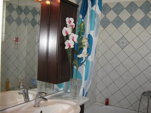 Secador de pelo, toallas, jabón, shampoo