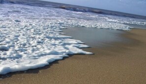 Playa en los alrededores, camastros y toallas de playa 