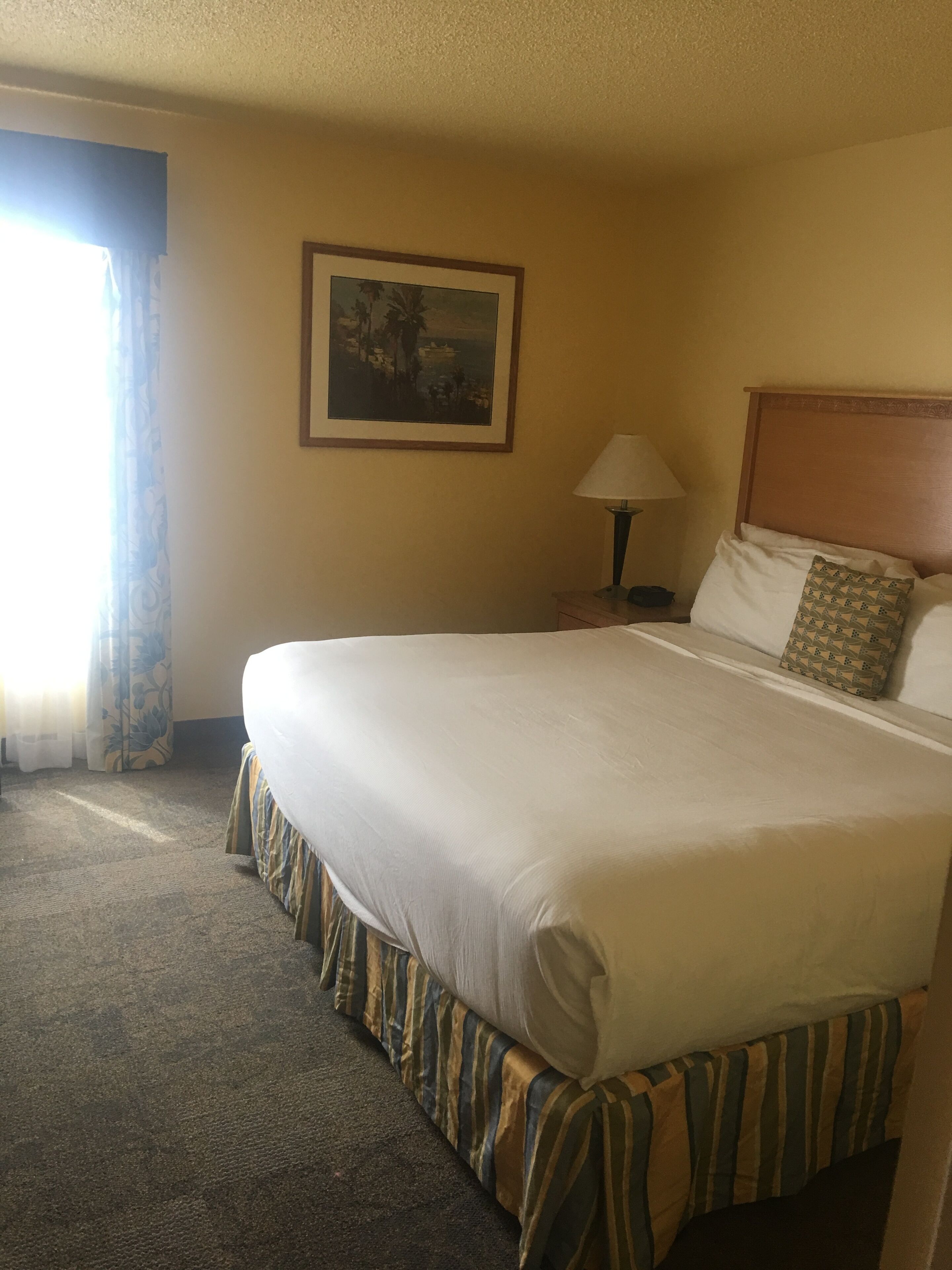 A hotel room with a large bed, a nightstand with a lamp, a framed picture on the wall, and a window with curtains.