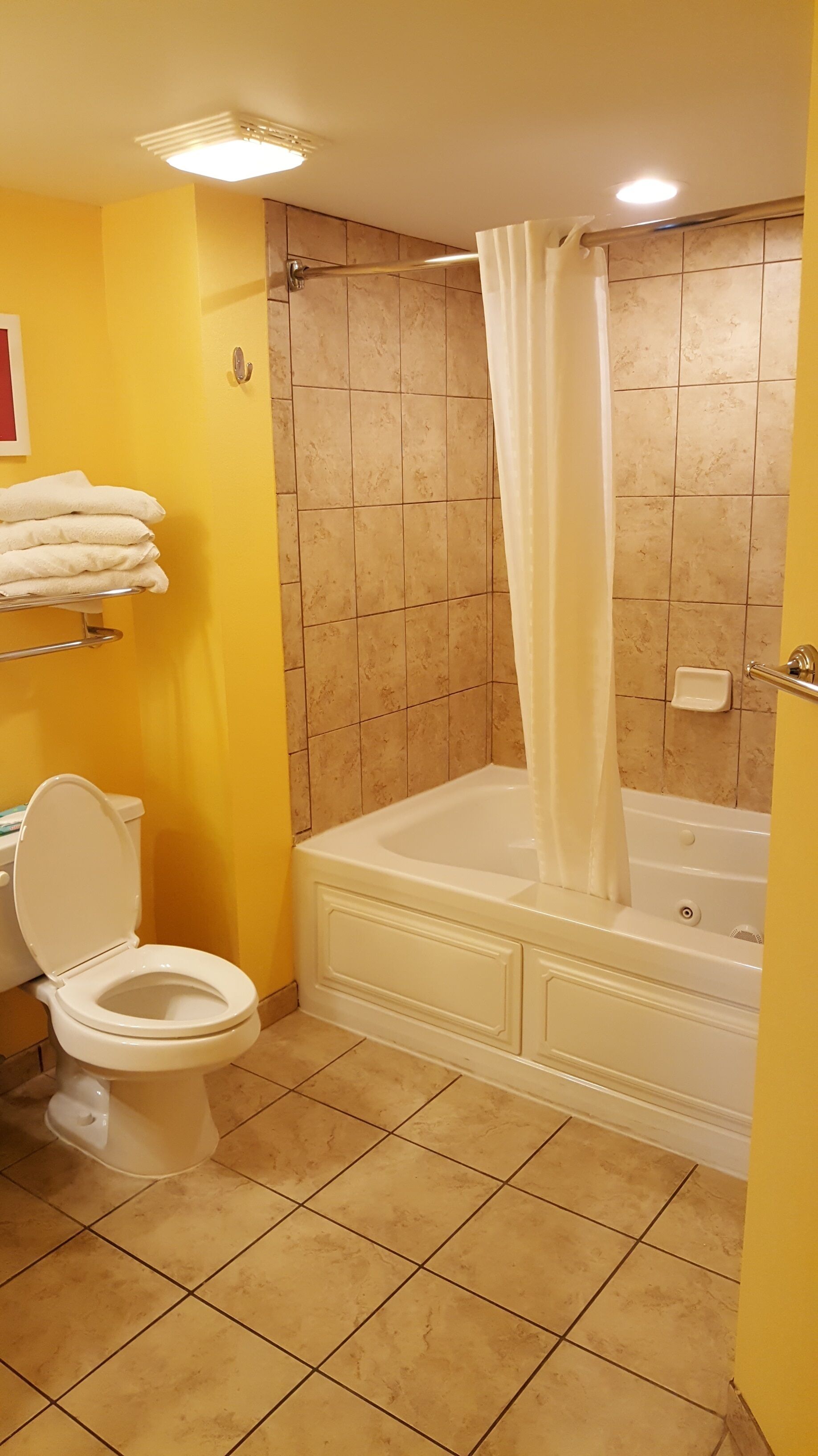 A bathroom with a toilet, a bathtub, and a shower curtain.