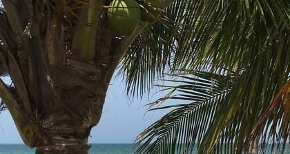 Charmantes Loft-Apartment mit atemberaubendem Penthouse-Meerblick