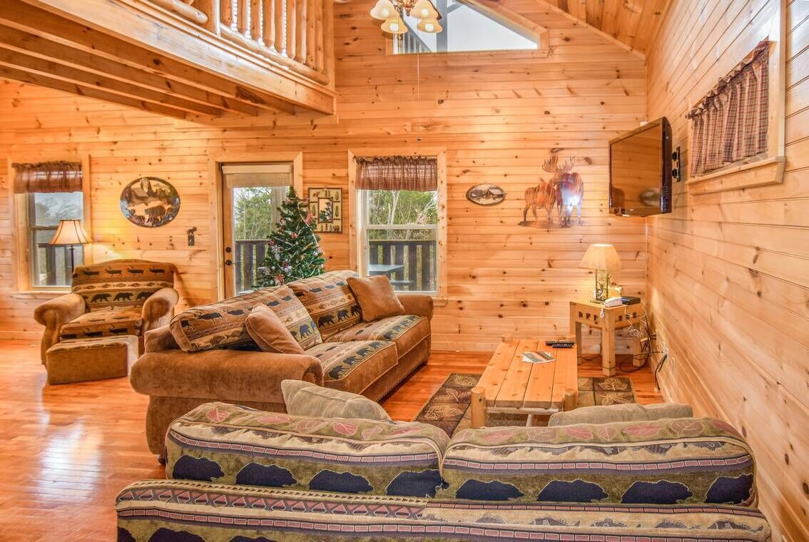 TV, fireplace, video games