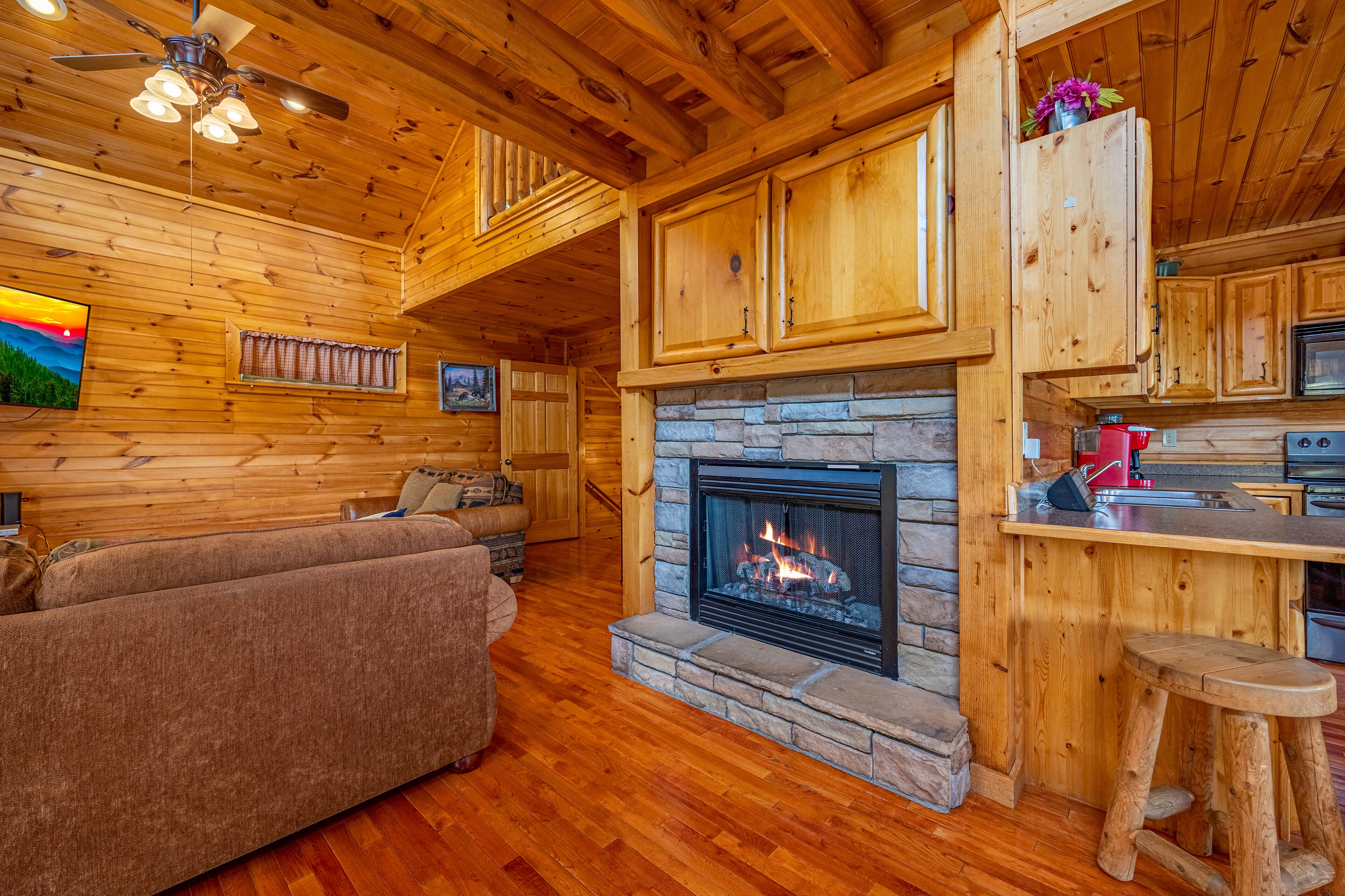 TV, fireplace, video games