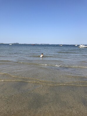 在海滩、沙滩椅