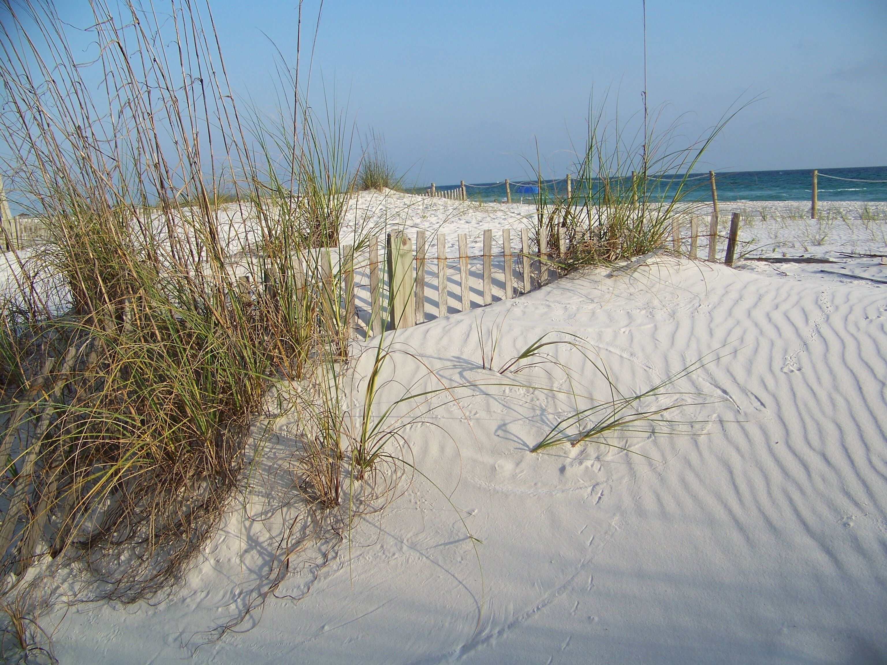 Nær stranden, solsenger, parasoller og strandhåndklær