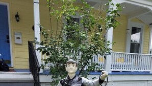 外观细节