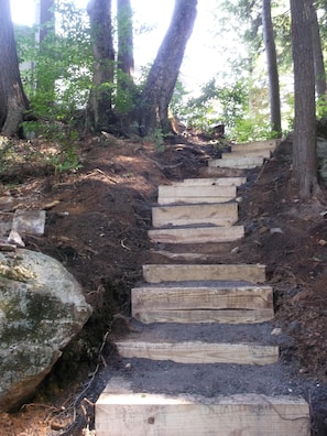 Property grounds - Plainfield House in a 10,000 acre state forest and private pond (Plainfield)