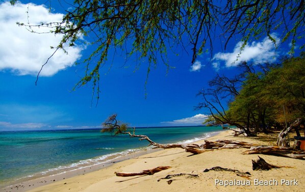 Sur la plage